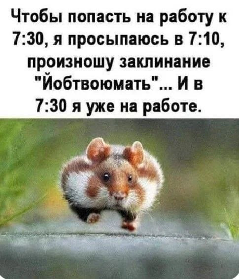 Мем, Ashmedai Мем, Ashmedai