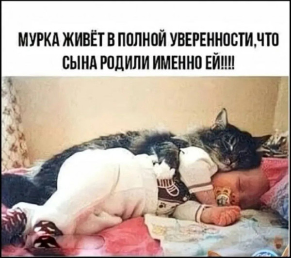Мем, Смехалка