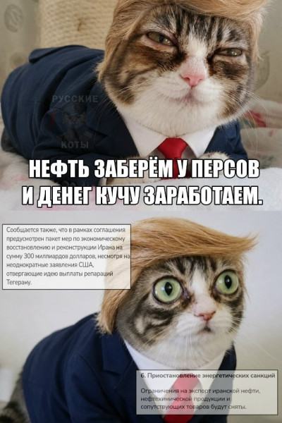 Мем, mikololo Мем, mikololo