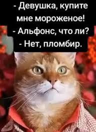 Мем, Антиклептократ Мем, Антиклептократ