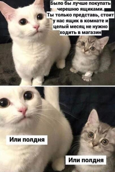 Мем, Антиклептократ Мем, Антиклептократ