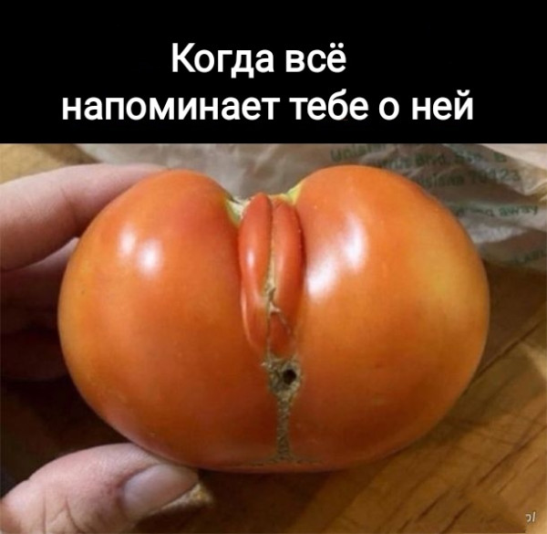 Мем, Рысь