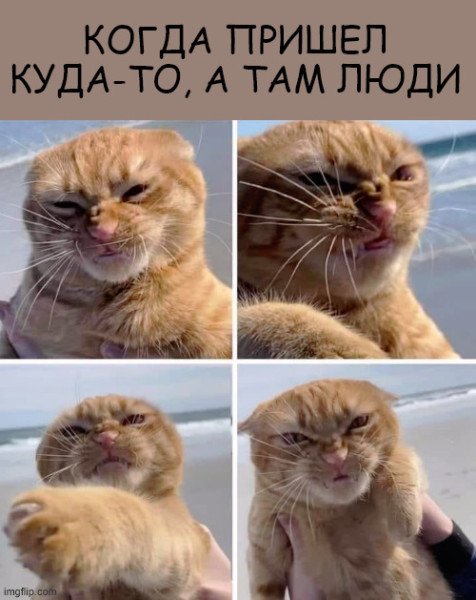 Мем, vmgyral Мем, vmgyral