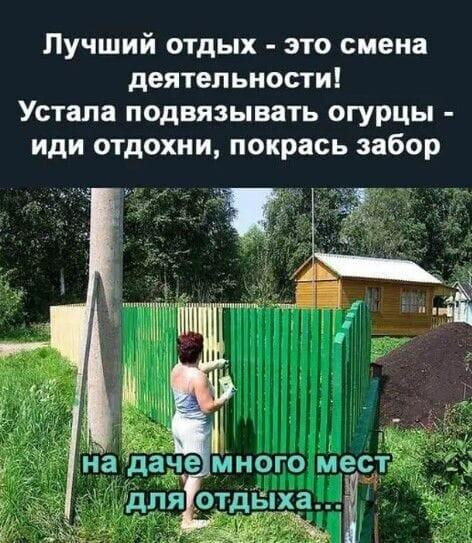 Мем, Антиклептократ Мем, Антиклептократ
