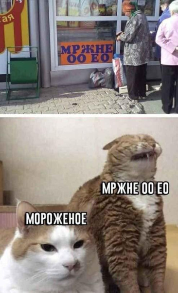 Мем, Антиклептократ Мем, Антиклептократ