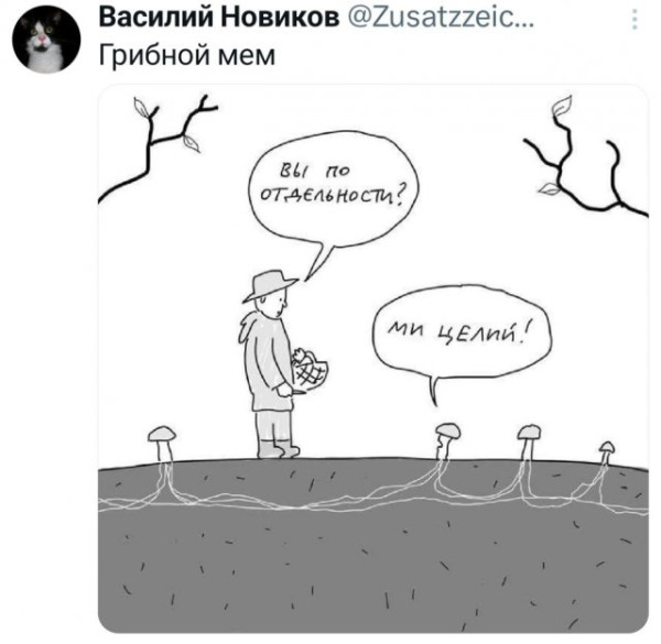 Мем, Bassplayer Мем, Bassplayer