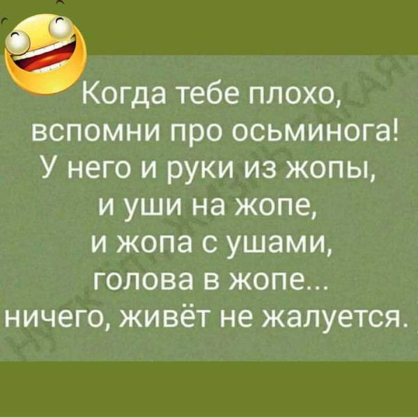 Мем, plintus