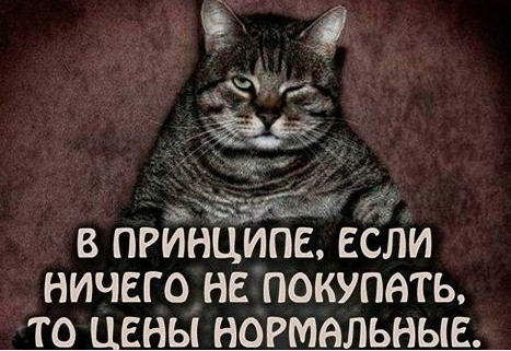 Мем, plintus