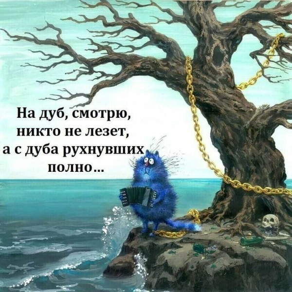 Мем, plintus