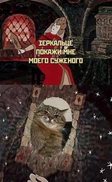 Мем: хотела суженого, а пришел расширенный!