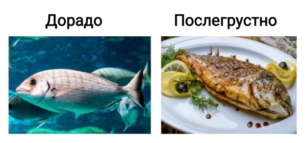 Мем, Рысь