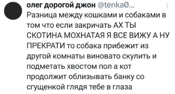 Мем, судьяКригс