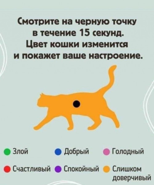 Мем