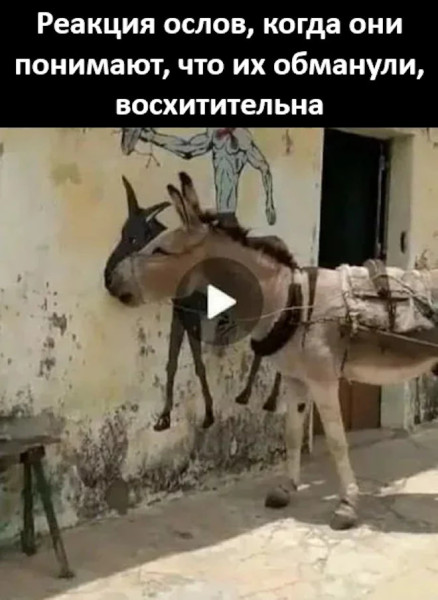Мем, Смехалка