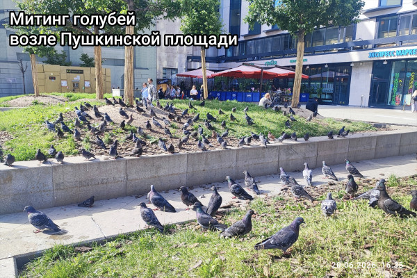 Мем, Облако маяковского Мем, Облако маяковского