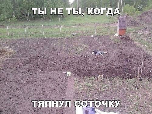 Мем, Антиклептократ Мем, Антиклептократ