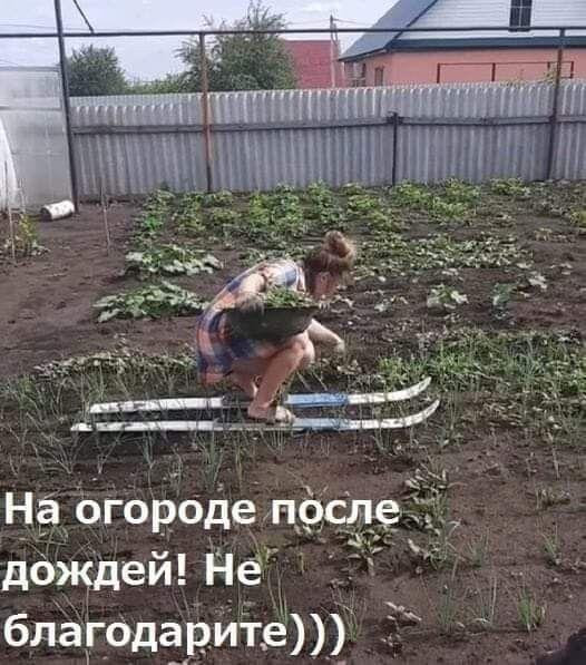 Мем, Антиклептократ Мем, Антиклептократ