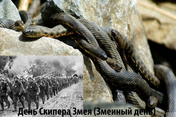 Мем: День Скипера Змея (Змеиный день)