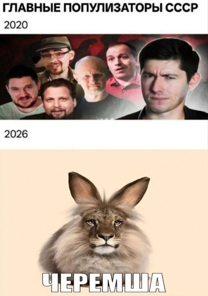 Мем Мем