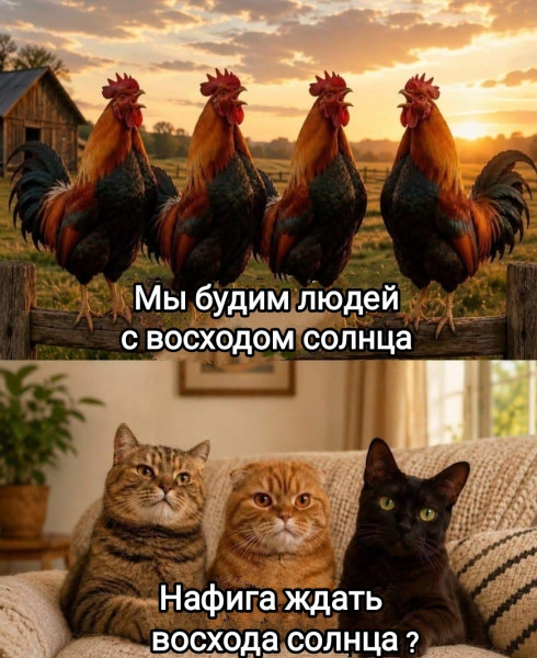 Мем, Рысь Мем, Рысь