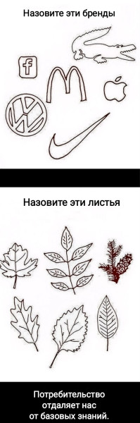 Мем, Рысь Мем, Рысь