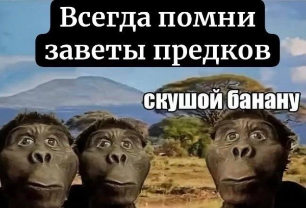 Мем, FDio Мем, FDio