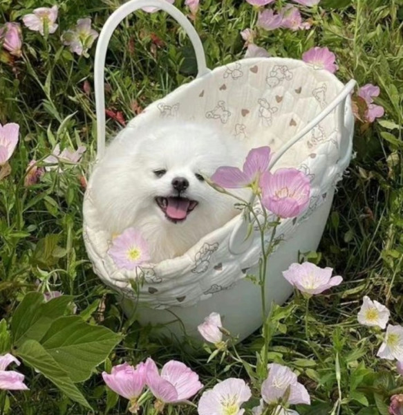 Мем Мем