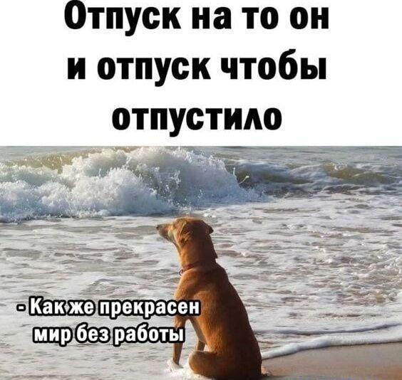 Мем, Антиклептократ