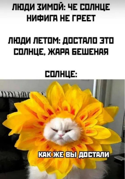 Мем, Антиклептократ