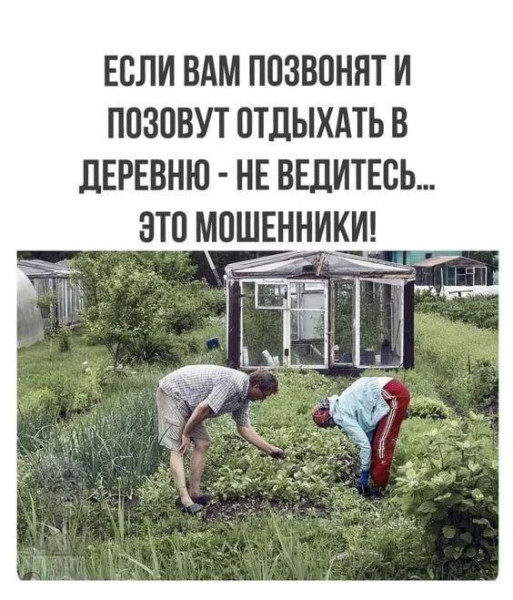 Мем, Антиклептократ