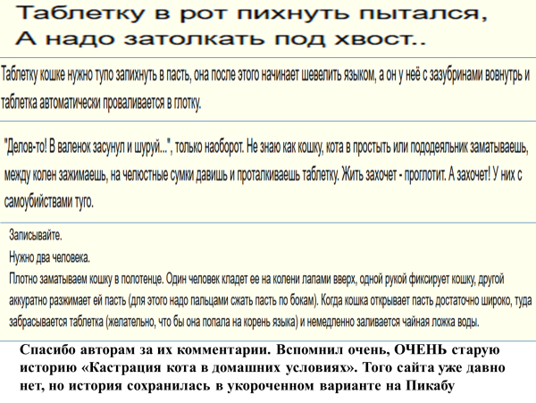 Мем: Анечка, ты прекрасна, хоть в кастрации кота, хоть в лечении таблеткой!