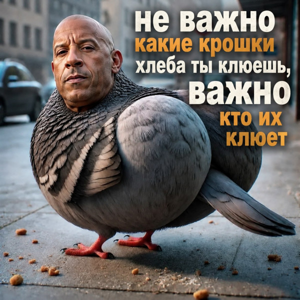 Мем: Вин голубь, Макан Мем: Вин голубь, Макан