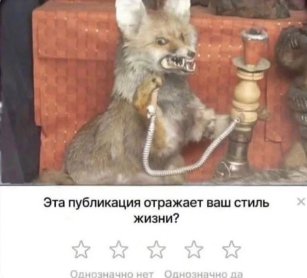 Мем, материя_из_дымохода