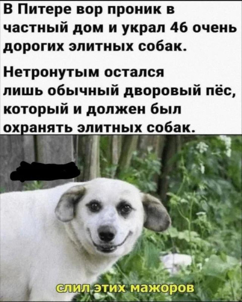 Мем, Оби Ван Киноби Мем, Оби Ван Киноби