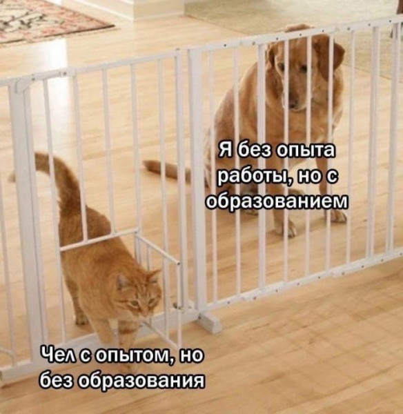 Мем, Оби Ван Киноби