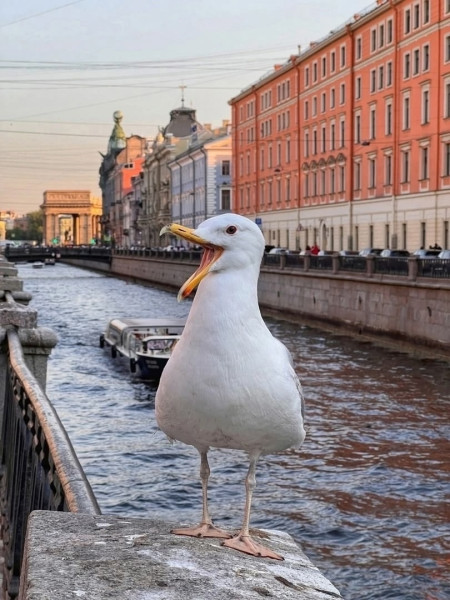 Мем