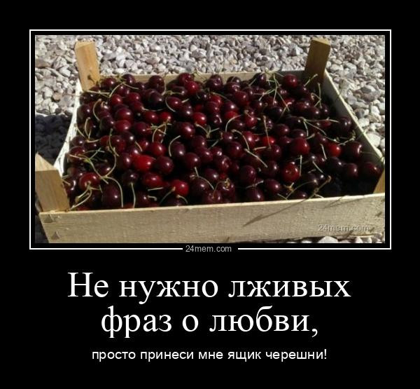 Мем, Антиклептократ