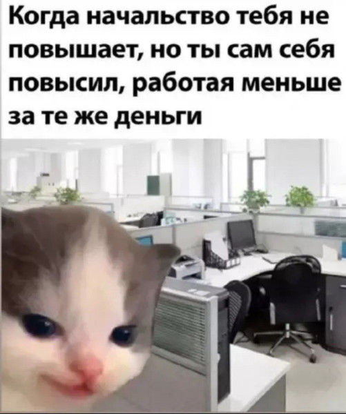 Мем, Diogenes
