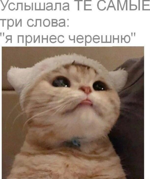 Мем, Антиклептократ