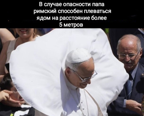 Мем, Рысь