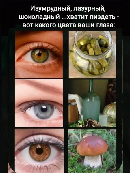 Мем, Рысь
