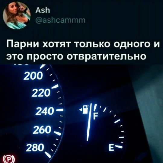 Мем, Diogenes