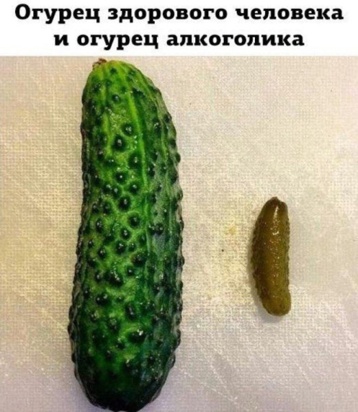 Мем, Bassplayer