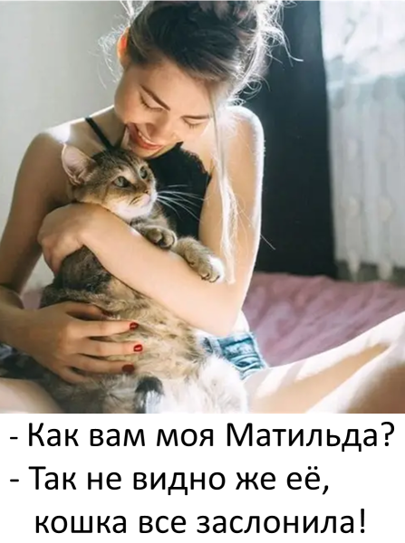 Мем Мем