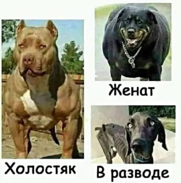 Мем, Смехалка Мем, Смехалка