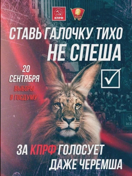 Мем, Bassplayer Мем, Bassplayer
