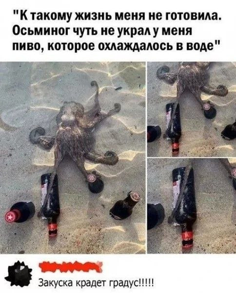 Мем, Hendry
