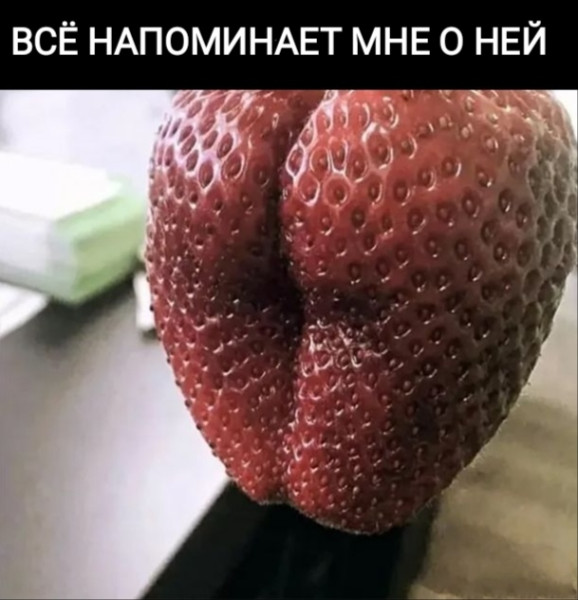 Мем, Рысь Мем, Рысь