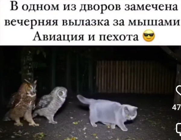 Мем, Mghost Мем, Mghost