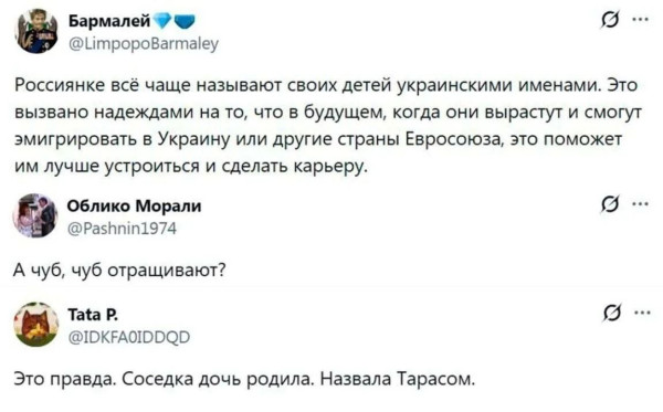 Мем, Bassplayer Мем, Bassplayer